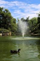 una vista del parque de mónaco foto