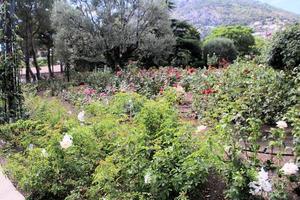 una vista del parque de mónaco foto