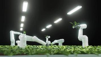 de robot arm is oogsten agrarisch producten, landbouw technologie, boerderij automatisering, 4k oplossing. video