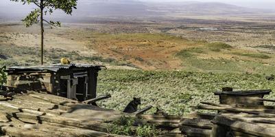 dos perros disfrutan de la vista del gran valle del rift en kenia. foto