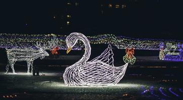 Chistmas decorations and lights that form a Swan and a Moose. photo