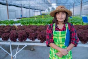 Asian farmer woman working at salad farm,Female asia Growing vegetables for a wholesale business in the fresh market photo