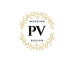 colección de logotipos de monograma de boda con letras iniciales pv, plantillas florales y minimalistas modernas dibujadas a mano para tarjetas de invitación, guardar la fecha, identidad elegante para restaurante, boutique, café en vector