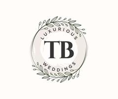 TB Initials letter Wedding monogram logos template, hand drawn modern minimalistic and floral templates for Invitation cards, Save the Date, elegant identity. vector