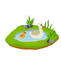 Ducks in pond. Chicken swims in lake. Animal in wild and forest. Child of bird in water. Flat cartoon. vector