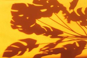 monstera leaf shadow on orange background with space for text. nature background photo
