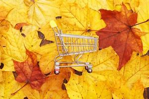 fondo de hojas de otoño con carrito de compras. concepto de descuento y venta de otoño foto