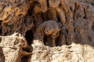 Beautiful natural weathered sandstone texture for background. Weathered rock surface. photo