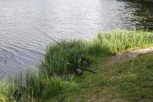 una caña de pescar en la orilla del lago.