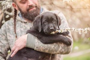 A small Labrador in the arms of a man in military uniform. Dog and owner. Labrador retriever puppy. photo