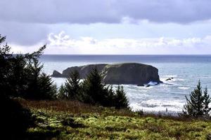 cabeza de ballena en la costa de oregon foto