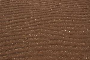 Red sand in Scotland photo