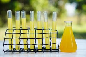 Bottle and test tubes that contain yellow liquid substance. Science experiment. Extract color.  Concept, science subject, Chemistry lesson. Project work. laboratory. Science tools or equipment. photo
