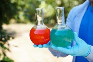 Closeup hands wears blue gloves holds test bottles that contain red and blue liquid substances inside.                                Science experiment. Extract color.  Concept, Chemistry lesson. Lab photo