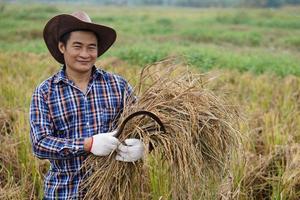 Portrait of handsome Asian man farmer, wears hat, plaid shirt, holds sickle and harvested rice at paddy field. Concept, Agriculture occupation. Thai farmers grow  organic rice. photo