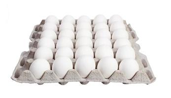 huevos en envase de cartón sobre fondo blanco foto