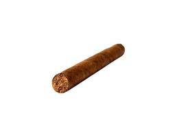 cigar isolated on a white background photo