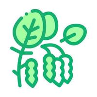 ilustración de contorno de vector de icono de planta de soja