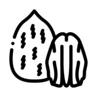 pecan nut icon vector outline illustration