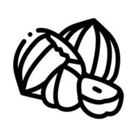 hazelnut nut icon vector outline illustration