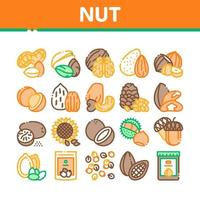 iconos de diferentes colecciones de alimentos de nuez establecer vector