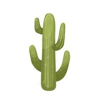 cactus desert cartoon vector illustration