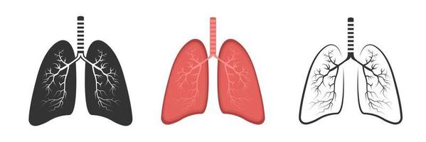 Realistic Lung anatomy. Lung icon set. Respiratory system healthy lung flat medical organ. Isolated vector illustration.