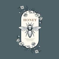 hand drawn honey logo vector