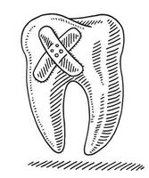 Hand-drawn vector drawing of a Band Aid on a Tooth. Black-and-White sketch on a transparent background