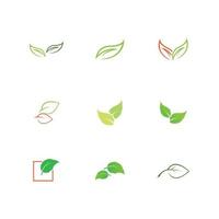 leaf logo and symbol vector