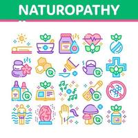 conjunto de iconos de medicina naturopatía tradicional vector