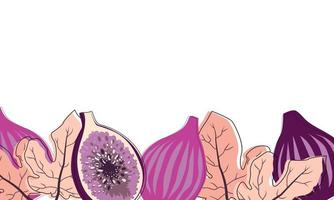 Fig fruits background in trend style. Vector EPS10