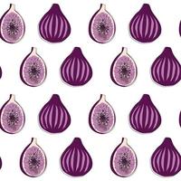 Seamless pattern with figs. Fig vector seamless pattern on white background.