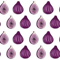 Seamless pattern with figs. Fig vector seamless pattern on white background.