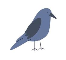 Raven or crow bird with blue plumage portrait vector