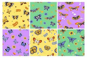 Pattern background with butterfly decoration set vector