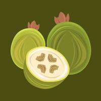 Feijoa vector illustration for graphic design and decorative element