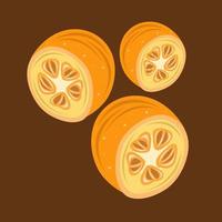 Kumquat vector illustration for graphic design and decorative element