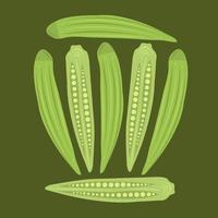 Okra vector illustration for graphic design and decorative element