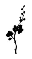 Spring sakura blooming branch black silhouette on white background. Hand drawn vector design element.