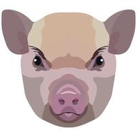 Micro Pig face. Vector illustration with cute mini pig. Isolated on white background.