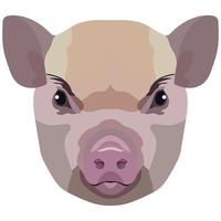 Micro Pig face. Vector illustration with cute mini pig. Isolated on white background.