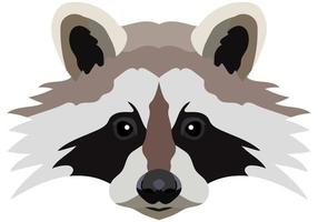 Raccoon face. Vector illustration Isolated on white background.