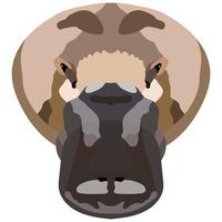 The face of a platypus. Vector illustration Isolated on white background.