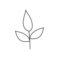 Hand drawn branch with leaves vector