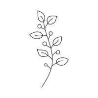 Hand drawn branch with leaves vector