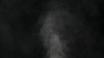 Slow motion of white smoke, fog, mist, vapor on a black background. video