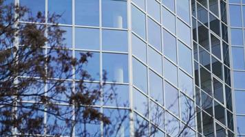 albero rami e il attività commerciale Torre edificio video