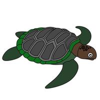 imagen vectorial de tortuga para colorear libro vector