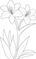 Botanic leaf vector illustration lilyflower with lilium leaves sketch hand drawing, isolated image coloring page, and book, engraved ink art.